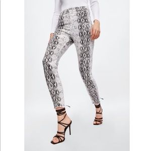 Zara High Waist in Snake Print.